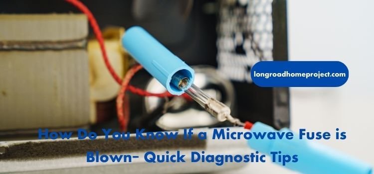 How Do You Know If a Microwave Fuse is Blown Quick Diagnostic Tips (2)