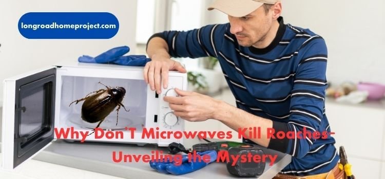 Why Don'T Microwaves Kill Roaches Unveiling the Mystery (2)