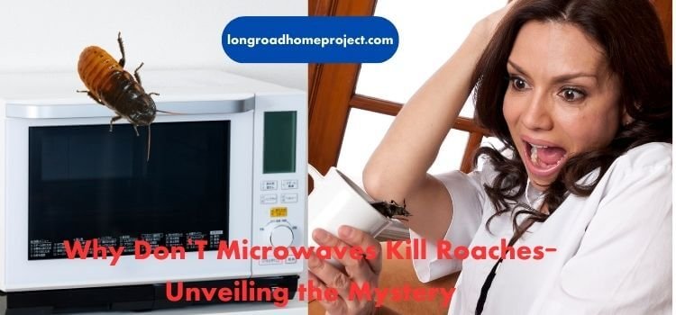 Why Don'T Microwaves Kill Roaches Unveiling the Mystery (3)