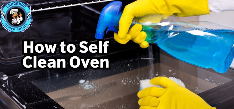 Clean Oven