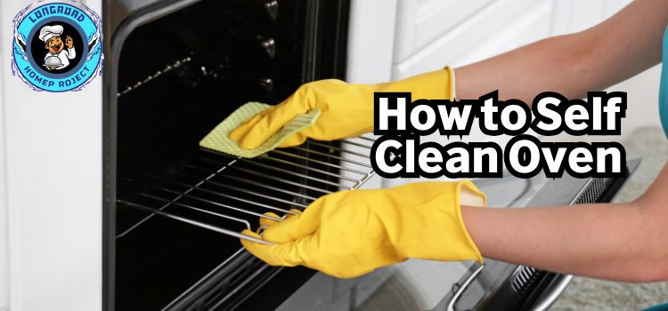 Clean Oven