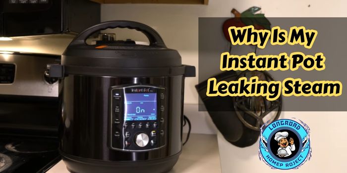 Why Is My Instant Pot Leaking Steam 