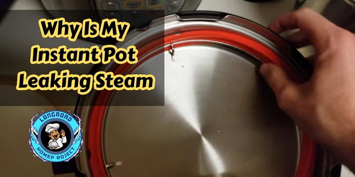 Why Is My Instant Pot Leaking Steam 