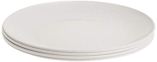 Best Plates for Microwave