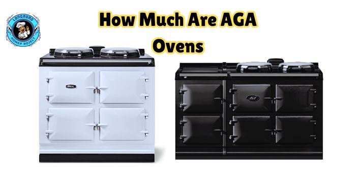 How Much Are AGA Ovens